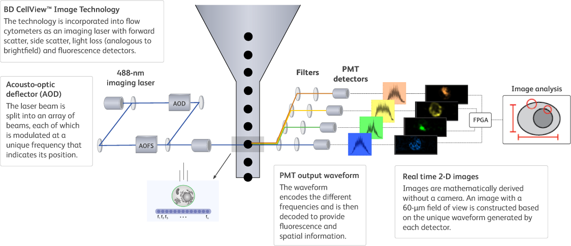 CellView-Diagram CellView-Diagram