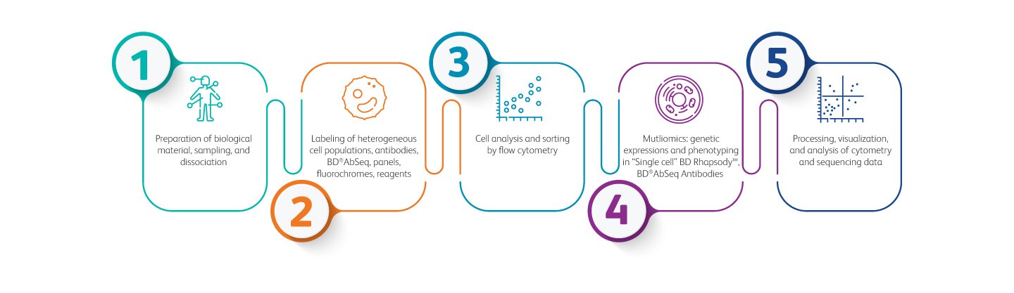 Expertise in Cell Characterization Protocols