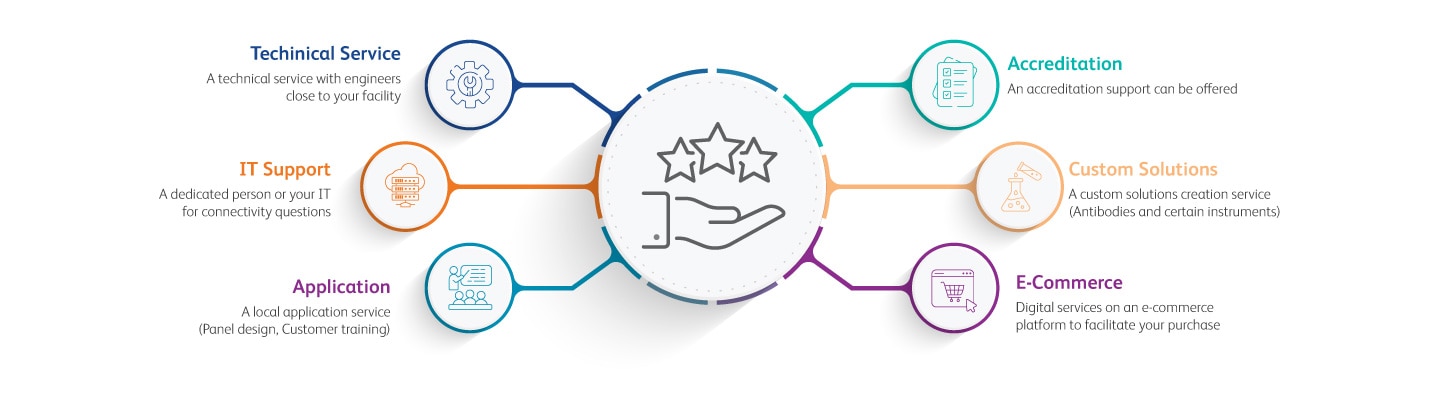 Best Solutions and Services