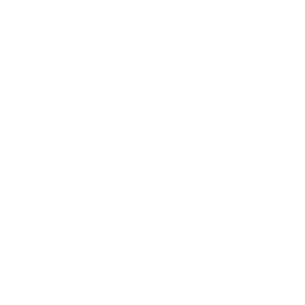 Brightness Slider Icon