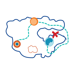 Interactive Human Cell Map