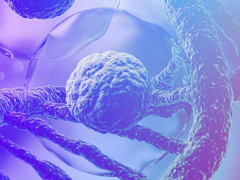 Single-Cell Multiomics