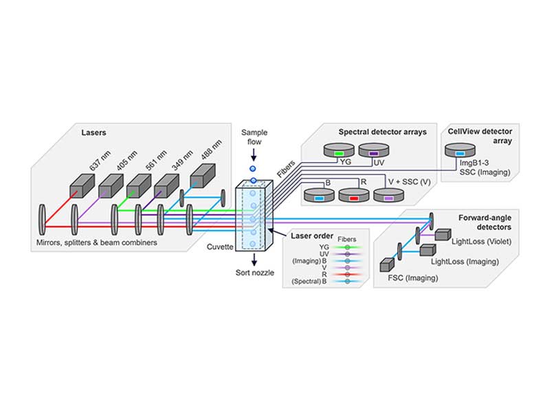 BD SpectralFX Technology