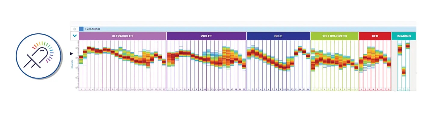 Automated Detector Characterization