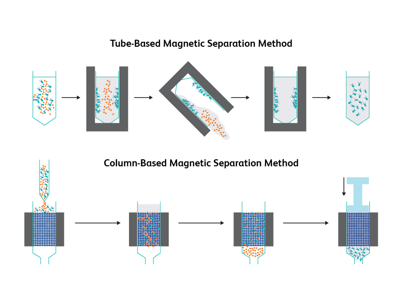 MyMag™ 96 - Magnetic Separation Plate For Extraction And Clean Up, MAGBIO