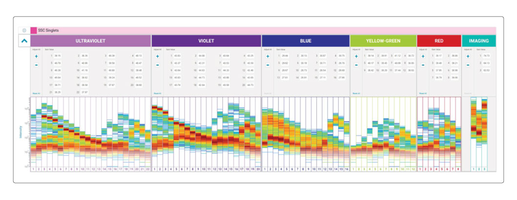 FACSChorus Guided Workflow Part 2 FACSChorus Guided Workflow Part 2