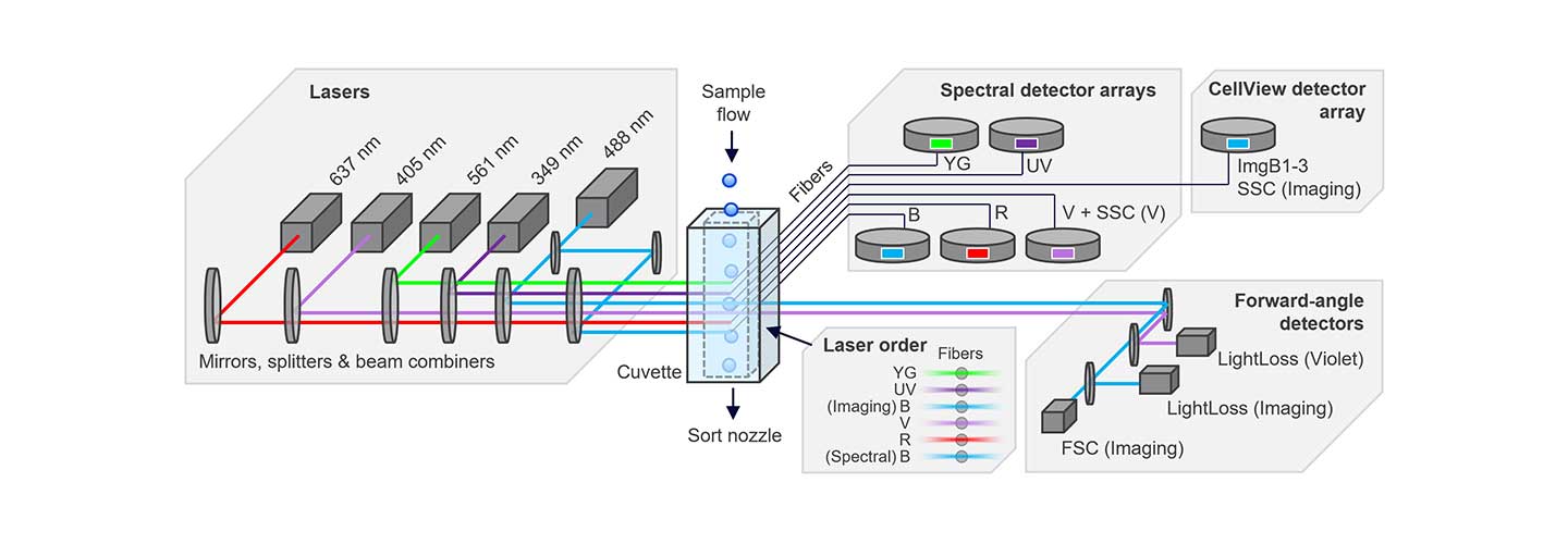 Overview of BD FACSDiscover S8 Optical Layout Overview of BD FACSDiscover S8 Optical Layout
