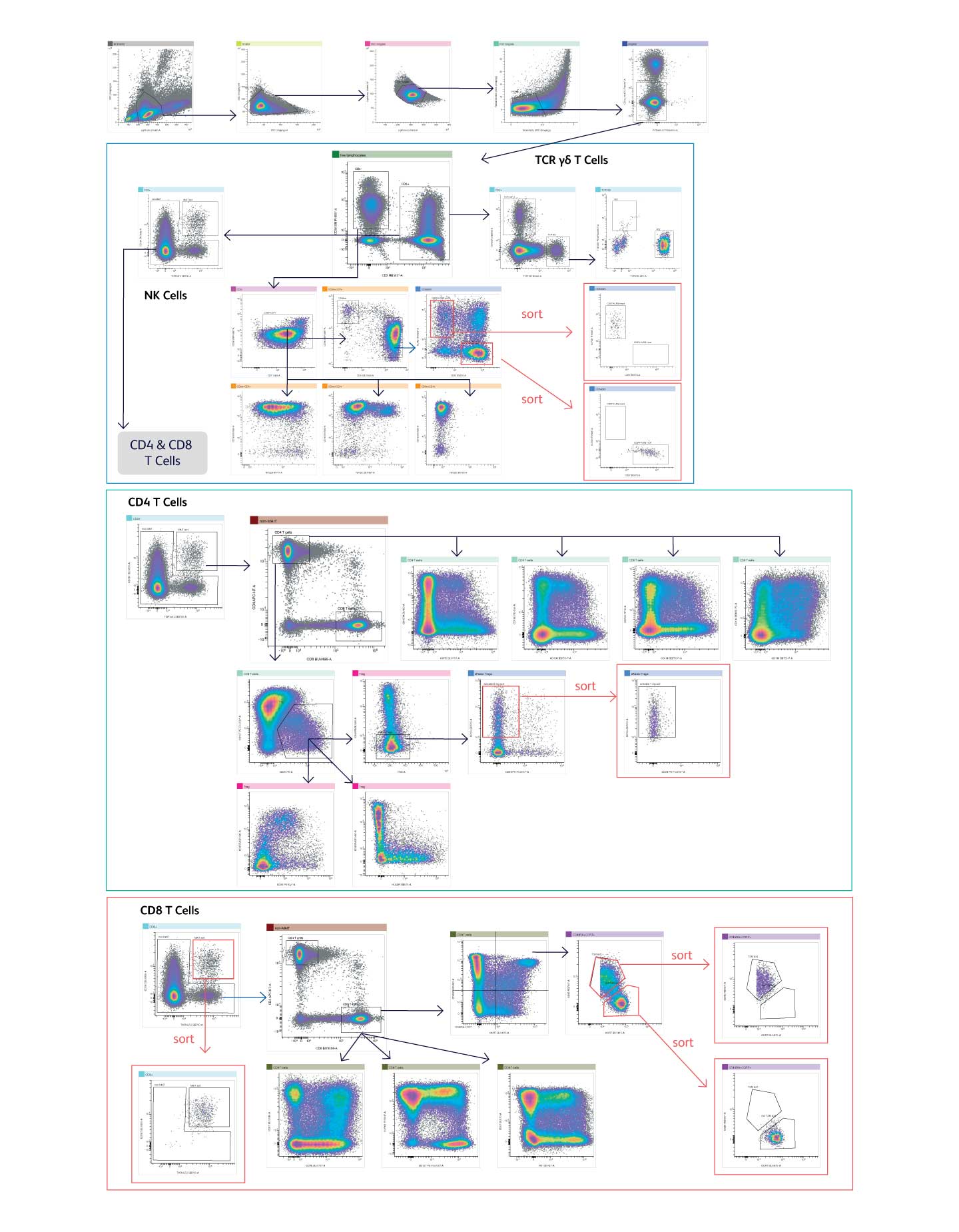38-color spectral panel characterizes and sorts deep lineages of T cell and NK cell subsets 38-color spectral panel characterizes and sorts deep lineages of T cell and NK cell subsets