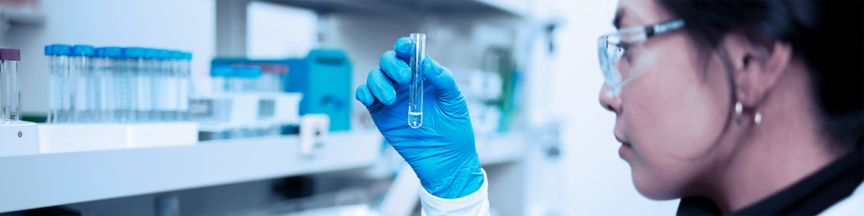 Scientist examining test tube in a laboratory. Scientist examining test tube in a laboratory.
