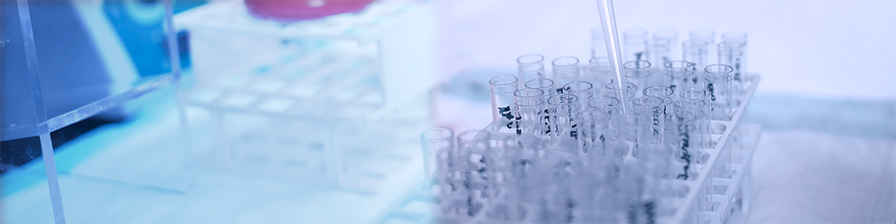A series of test tubes in a laboratory. A series of test tubes in a laboratory.