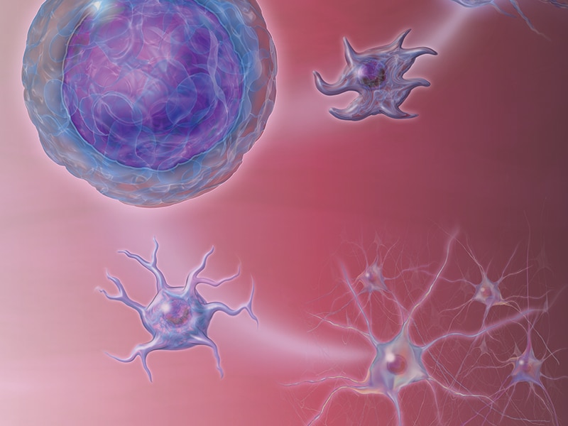 Illustration showing multiplestem cells and their constituent parts. Illustration showing multiplestem cells and their constituent parts.