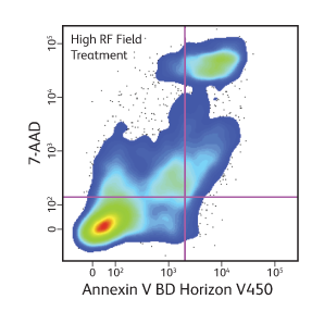 Result of high RF field treatment Annexin V BD Horizon™ V450. Result of high RF field treatment Annexin V BD Horizon™ V450.