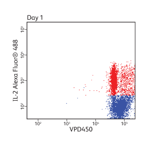 Data showing IL-2AlexaFluor®488 and VPD450 on day 1. Data showing IL-2AlexaFluor®488 and VPD450 on day 1.