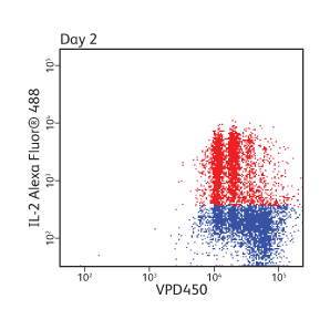 Data showing IL-2AlexaFluor®488 and VPD450 on day 2. Data showing IL-2AlexaFluor®488 and VPD450 on day 2.
