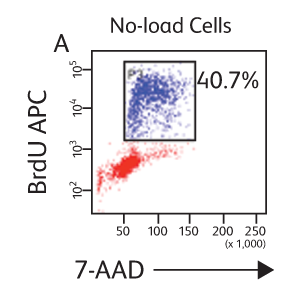 Data showing BRDU APC and 7-ADD on no-load cells. Data showing BRDU APC and 7-ADD on no-load cells.