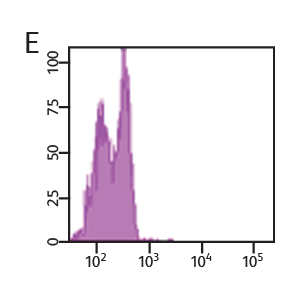 Data showing BRDU APC and 7-ADD with VPD450 on DMSO control group. Data showing BRDU APC and 7-ADD with VPD450 on DMSO control group.