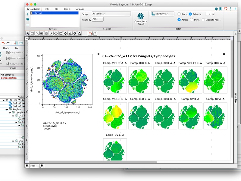 Screenshot of FlowJo™ interface on a computer. Screenshot of FlowJo™ interface on a computer.