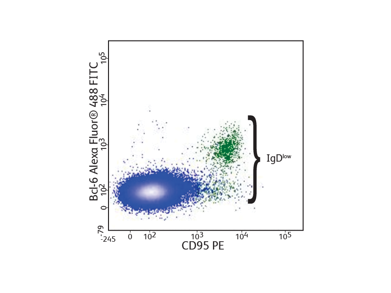 Data sets showing CD95 PE and Bcl-6 AlexaFluor®488 FITC Data sets showing CD95 PE and Bcl-6 AlexaFluor®488 FITC