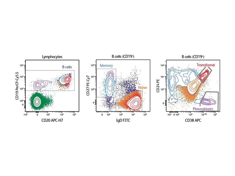 Charts detailing staining results for lymphoctyes and b cells. Charts detailing staining results for lymphoctyes and b cells.