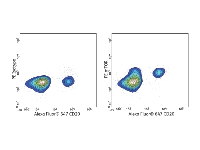 Charts detailing PE Isotope and PE mTOR results for Alexa Fluor®647 CD20. Charts detailing PE Isotope and PE mTOR results for Alexa Fluor®647 CD20.