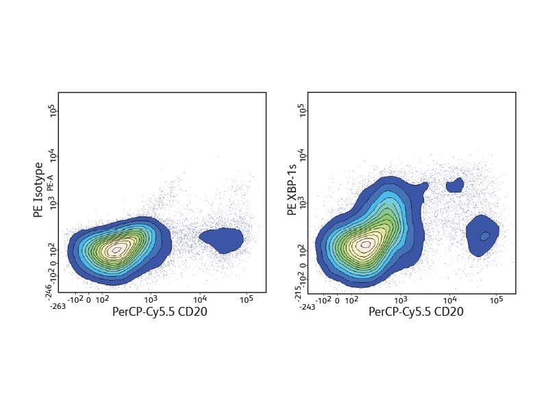 Data showing PerCP-Cy5.5 CD 20 results. Data showing PerCP-Cy5.5 CD 20 results.