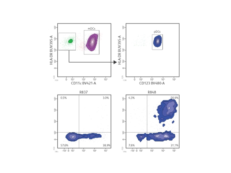 Data sets showing results for different cytokine detection tests. Data sets showing results for different cytokine detection tests.