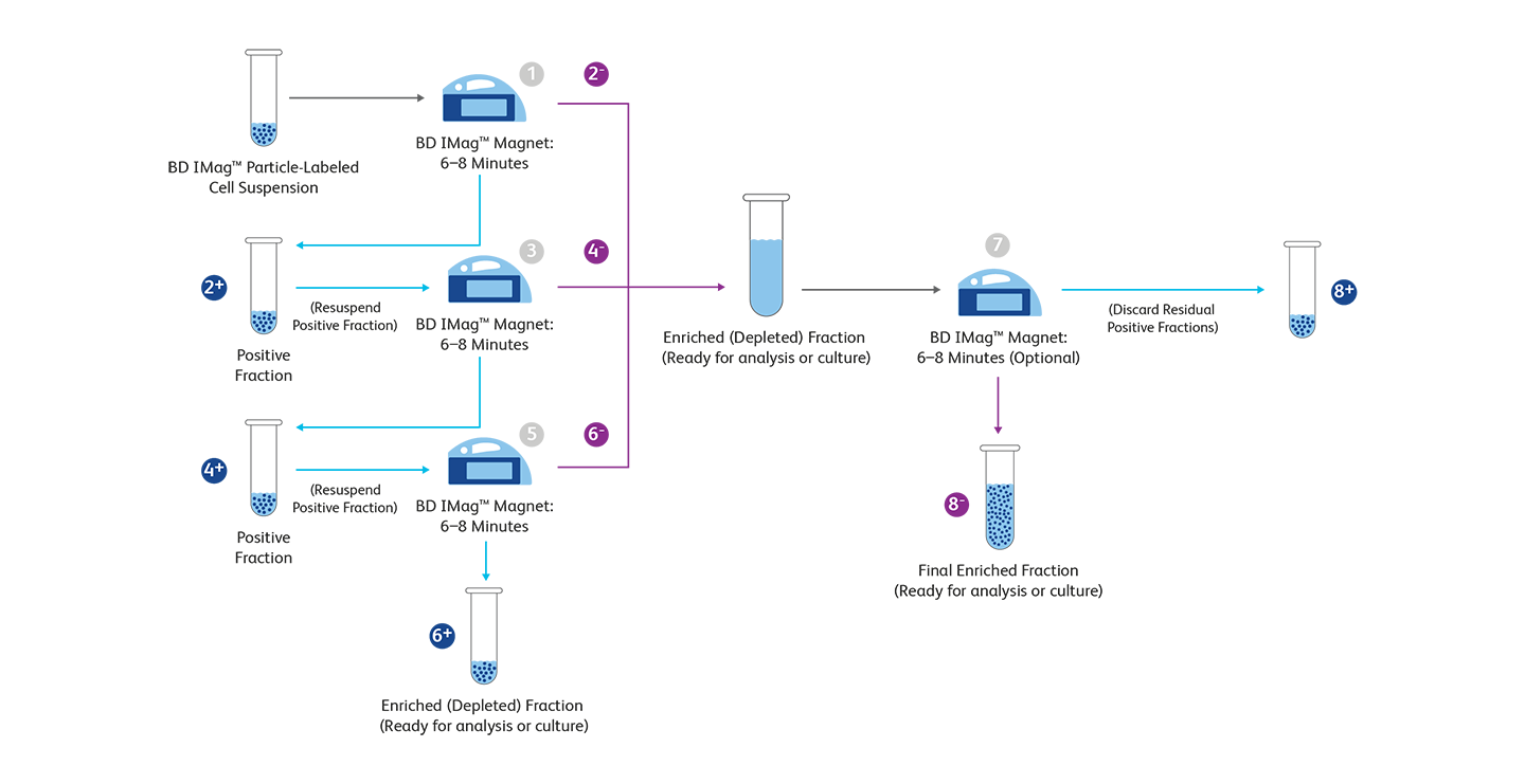 Diagrams comparing tube-based and column-based magnetic separation methods. Diagrams comparing tube-based and column-based magnetic separation methods.