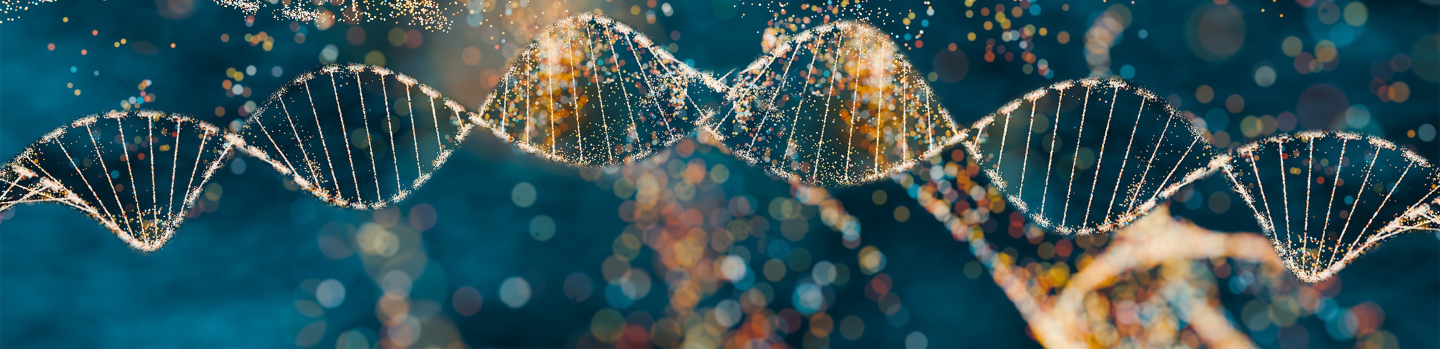Image of a DNA Helix