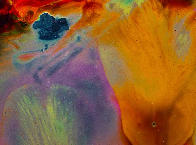 Fleischer and Paulsen share flow cytometry expertise