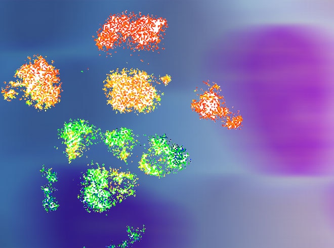 A Multiomics Approach to Defining the Nature of Early Malignant Transformations of the Immune System Banner