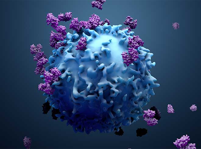 Applying Multi-Omics technology in CAR T-cell Research
