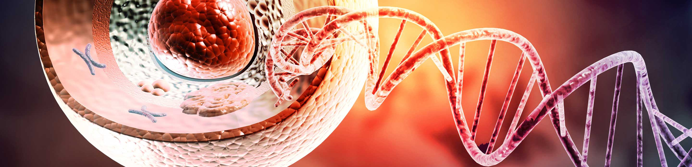 WTA of Single Cell
