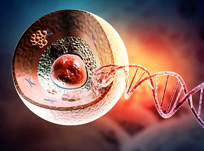 WTA of Single Cell