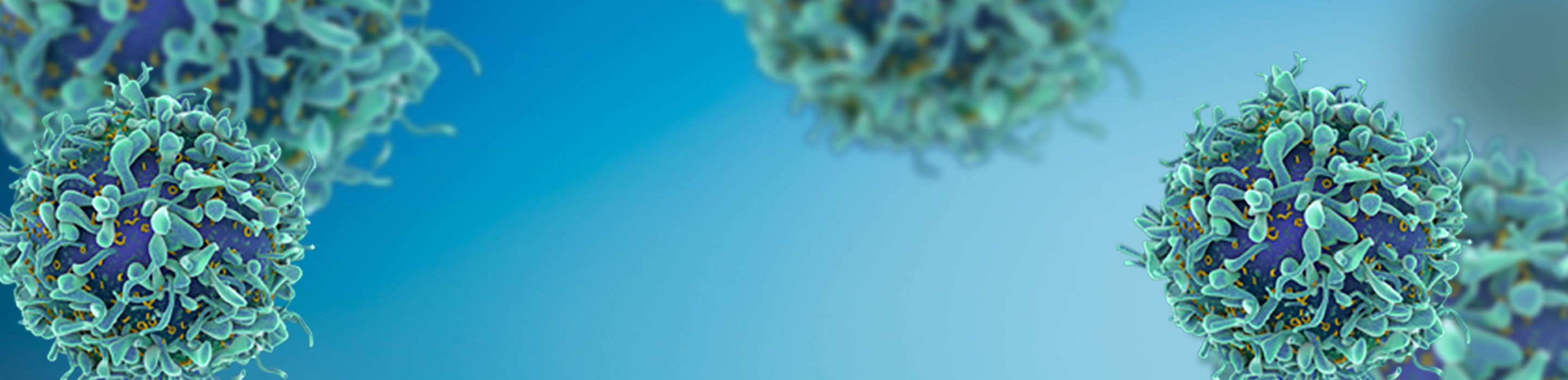 Single Cell Multiomics Sample Preparation