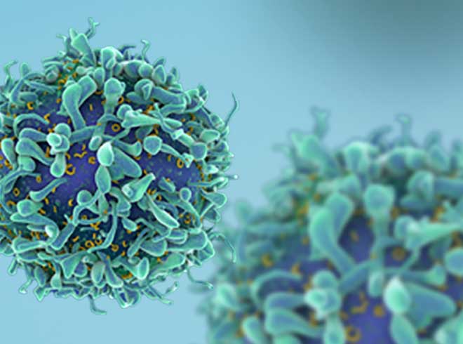Single Cell Multiomics Sample Preparation