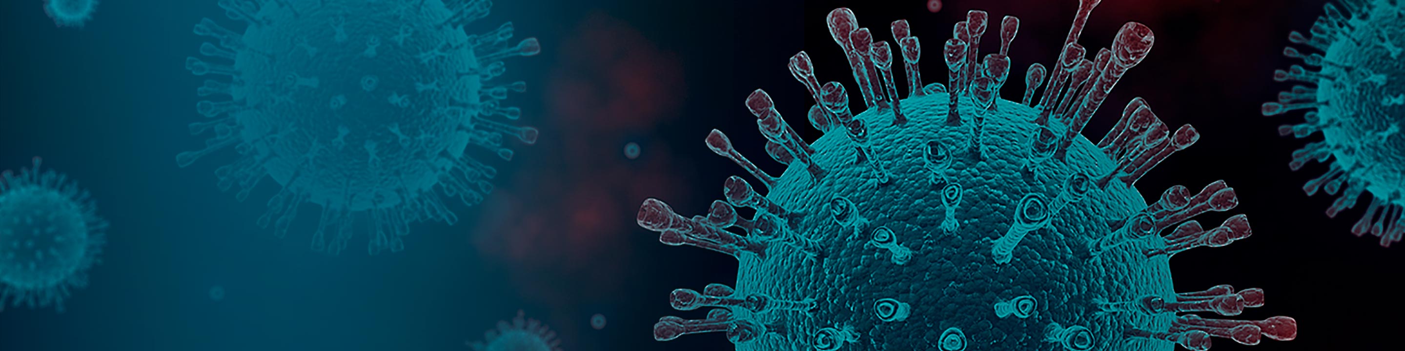 Immune monitoring COVID-19 reseach & Patient Care