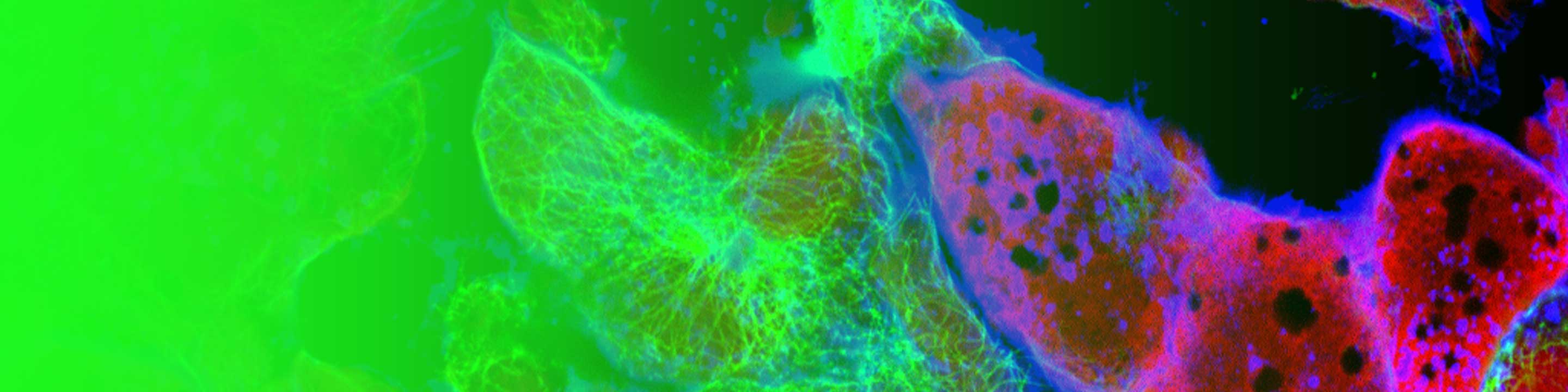 TCS Annual Conference & Flow Cytometry Workshop