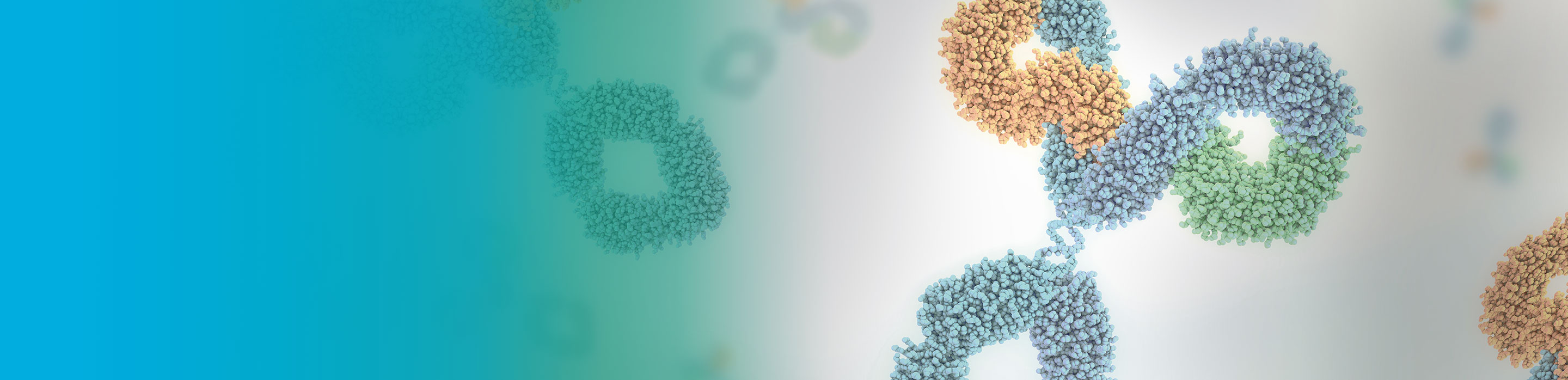 2nd JCA-AACR Precision Cancer Medicine International Conference Luncheon Seminar