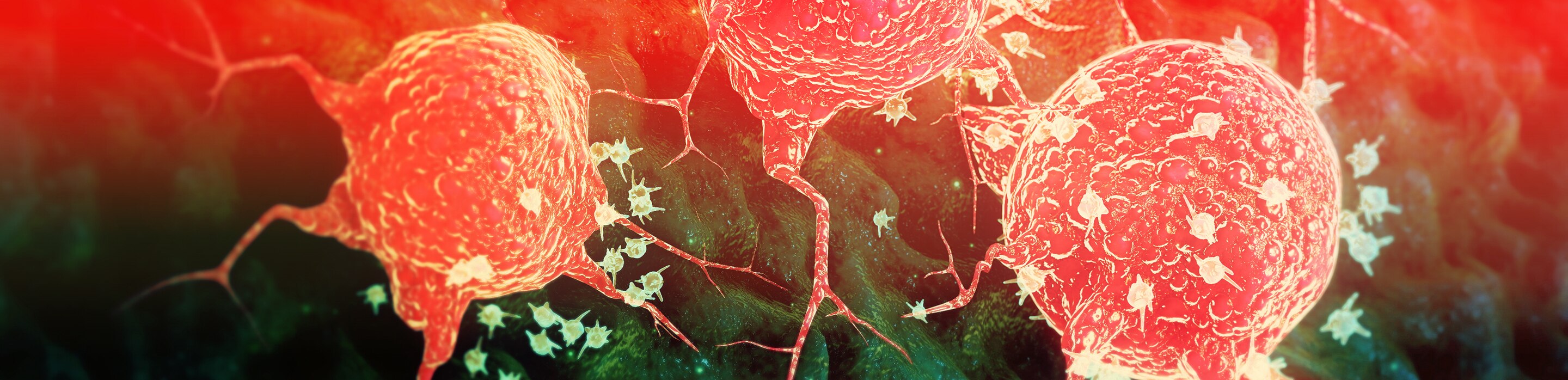 Frontiers in Cancer Science 2023