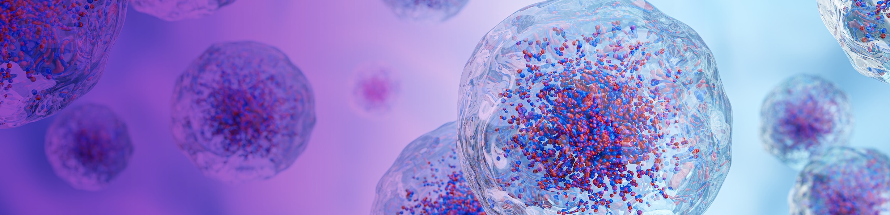 The Granulocyte Meeting