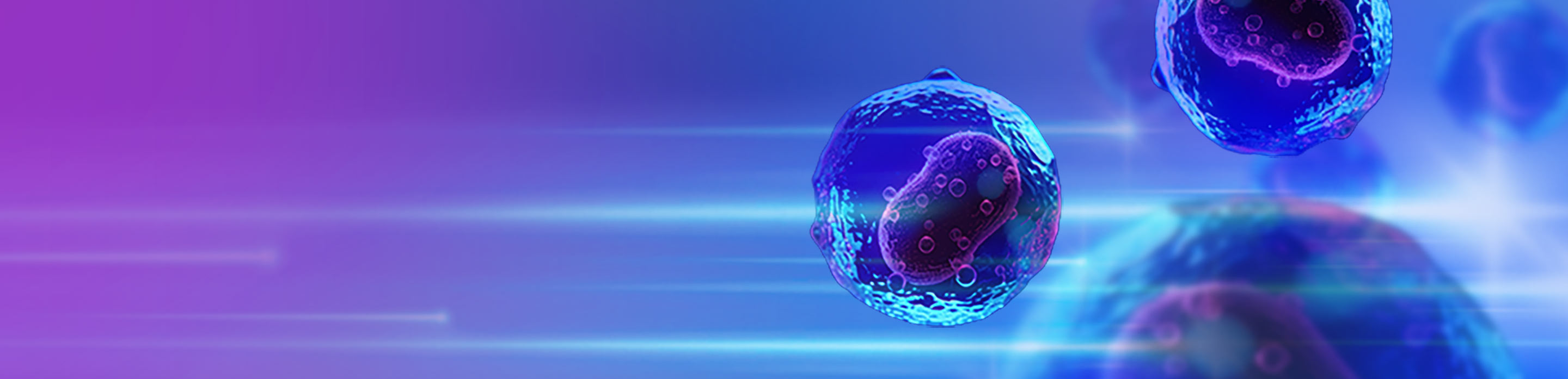 BD Biosciences at CYTO-2025