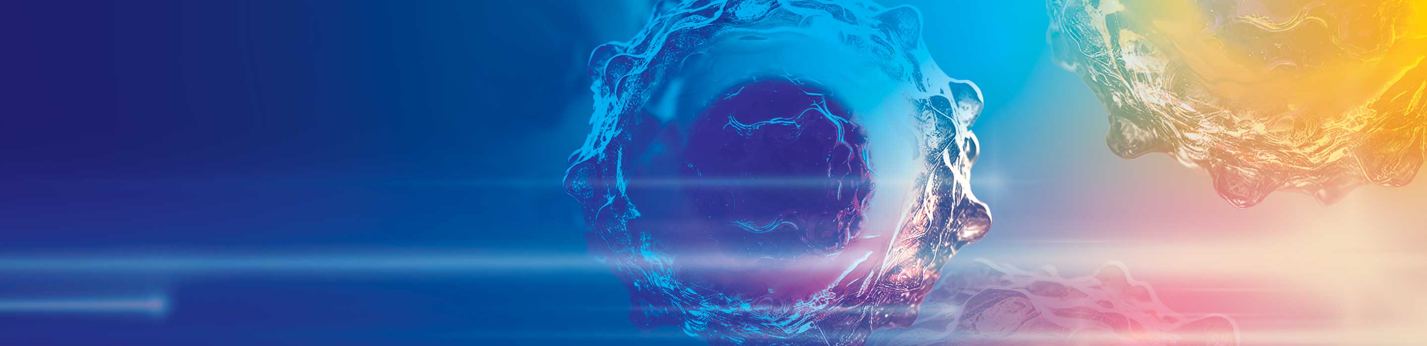 BD Clinical Brilliance Series