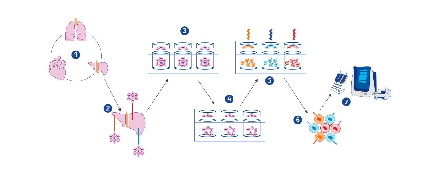 Fragment Seq diagram Fragment Seq diagram
