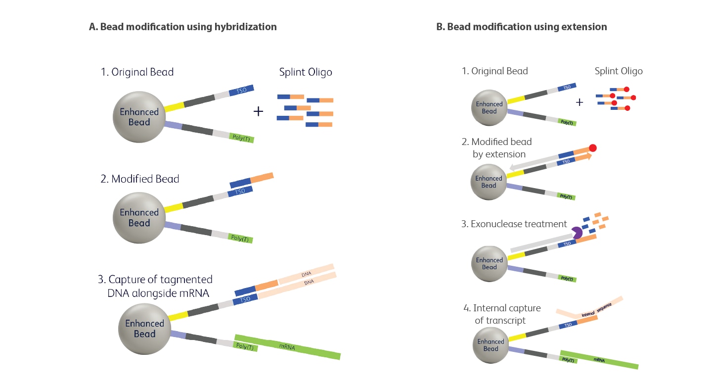 Bead Modification Methods