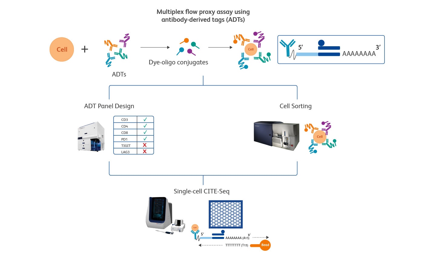 Flow Proxy Assay Graphic Flow Proxy Assay Graphic