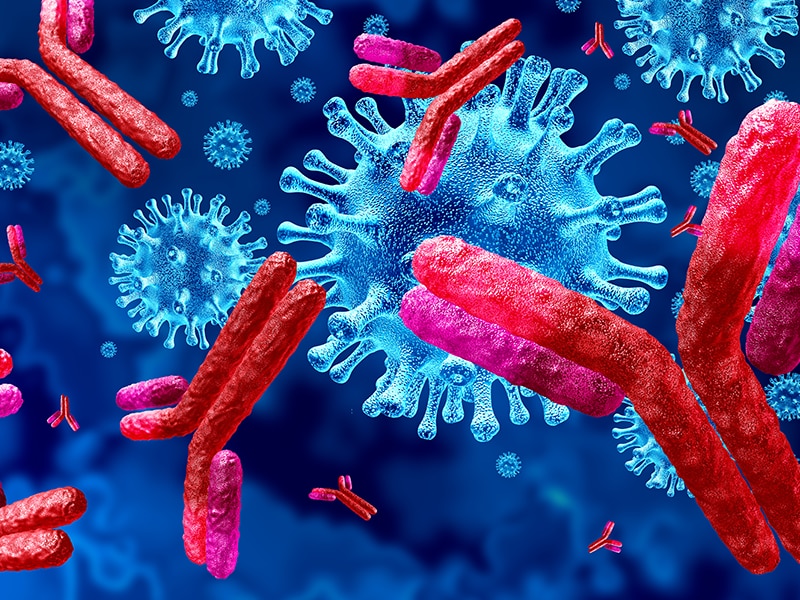 Rendering of immune cell monitoring Rendering of immune cell monitoring