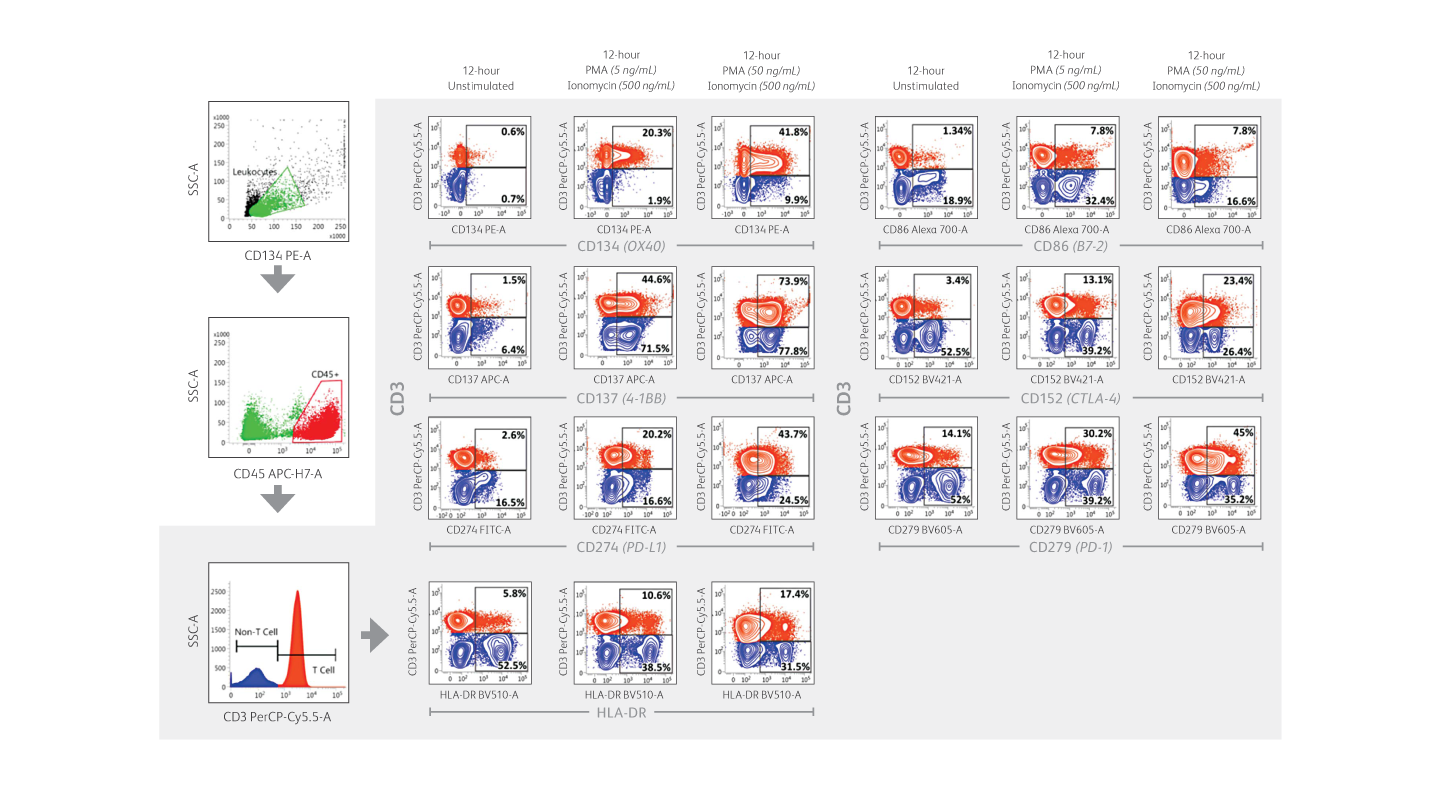 Various data sets showing 12-hour timeframe results for different CD3 tests. Various data sets showing 12-hour timeframe results for different CD3 tests.