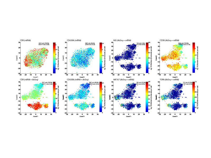 Various data for tests involving CAR CD19 T cells. Various data for tests involving CAR CD19 T cells.