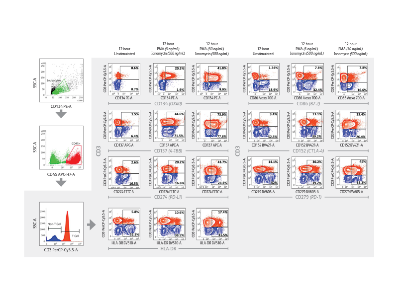 Time-based results for various tests involving CD3, CD45, and CD134 tests. Time-based results for various tests involving CD3, CD45, and CD134 tests.