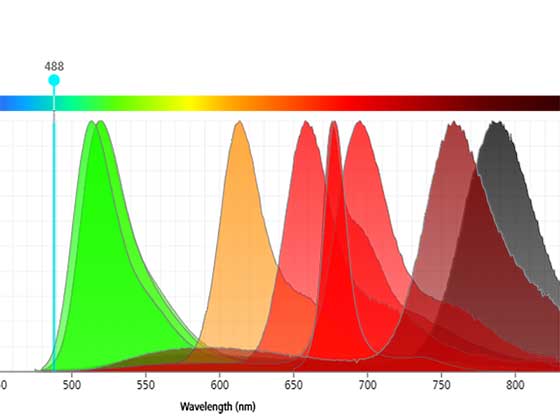 Multicolor Flow Cytometry